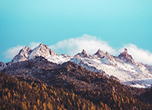 万博体育APP：让热爱体育的你随时在线，畅享赛事与互动